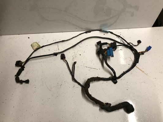 Jaguar XK8 Right Side Door Wiring Loom LJE3190CA